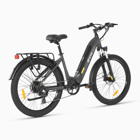 DYU C1 - Image 4