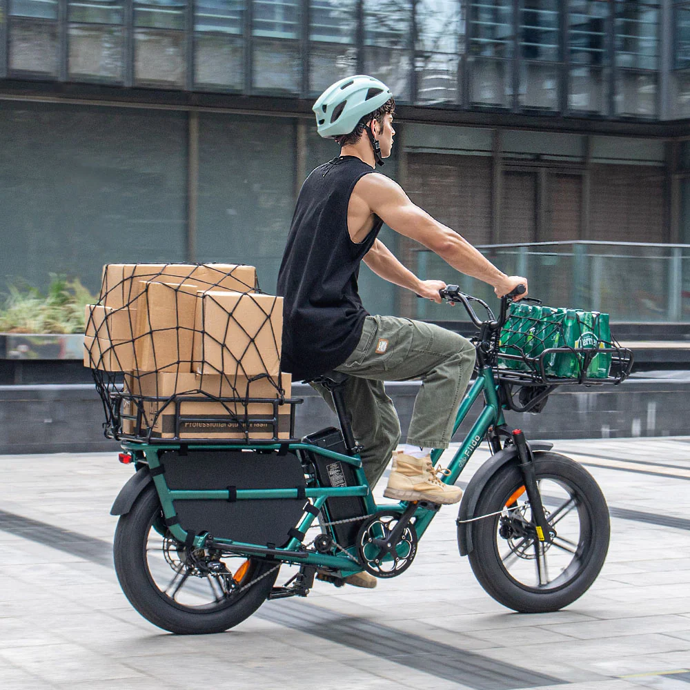 Fiido T2 Longtail Cargo E-bike - Image 3