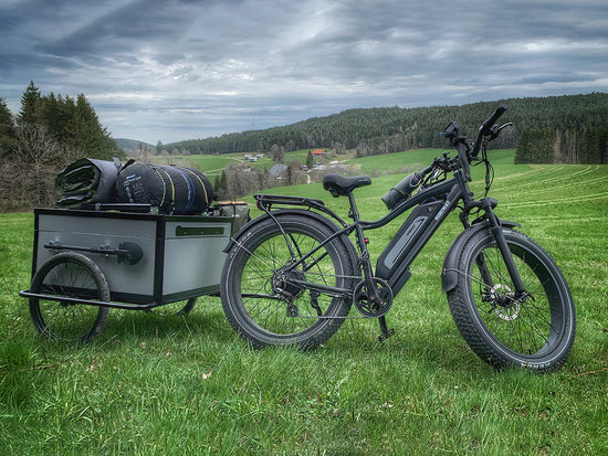 HIMIWAY CRUISER (D3) - Image 3